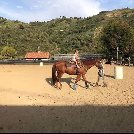 La Stalla, Casa Rustica Nel Ranch Di Cavalli Camporosso  Luaran gambar