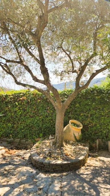 La Stalla, Casa Rustica Nel Ranch Di Cavalli Camporosso  Luaran gambar