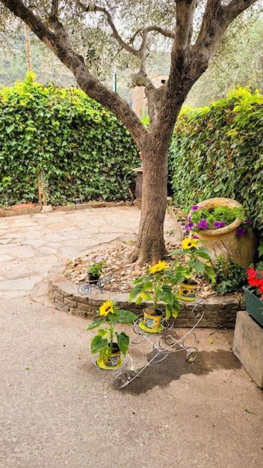 La Stalla, Casa Rustica Nel Ranch Di Cavalli Camporosso  Luaran gambar