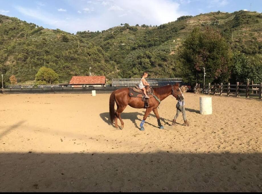 La Stalla, Casa Rustica Nel Ranch Di Cavalli Camporosso  Luaran gambar