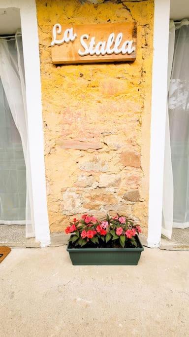 La Stalla, Casa Rustica Nel Ranch Di Cavalli Camporosso  Luaran gambar
