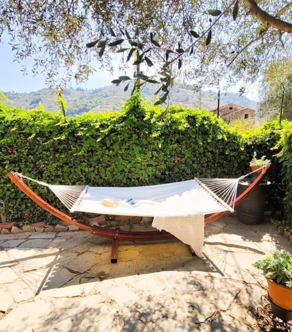 La Stalla, Casa Rustica Nel Ranch Di Cavalli Camporosso  Luaran gambar