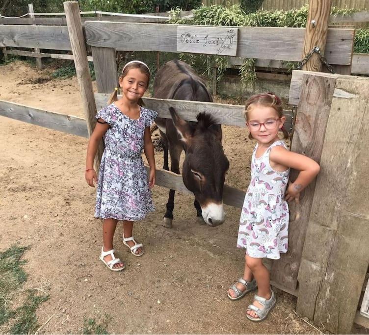 La Stalla, Casa Rustica Nel Ranch Di Cavalli Camporosso  Luaran gambar